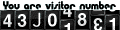 Visitor Counter